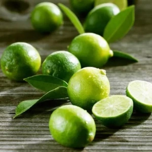 Fresh Lemon from Vietnam by Tasnuva Agro Trade – Wholesale Product in Bangladesh