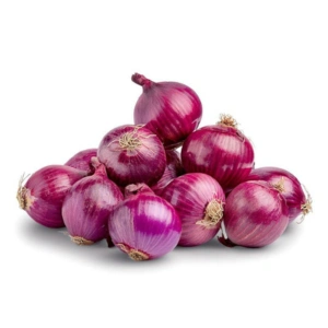 High-quality fresh onions available for wholesale in Bangladesh by Tasnuva Agro Trade